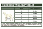 Harnais Anti-Traction pour Chien